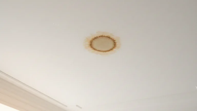 Ceiling water damage stain caused by roof leak in Seattle home requiring professional water damage restoration.